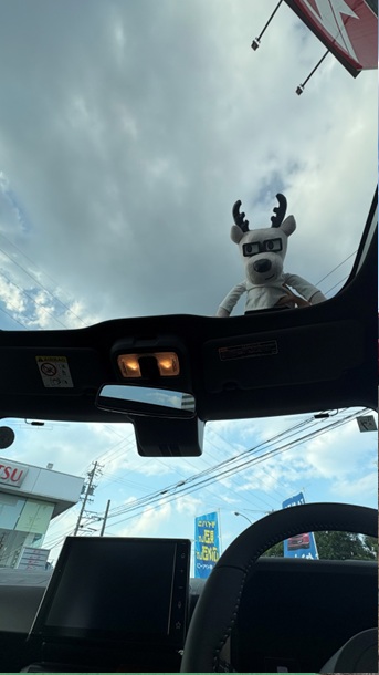 タフト試乗車３